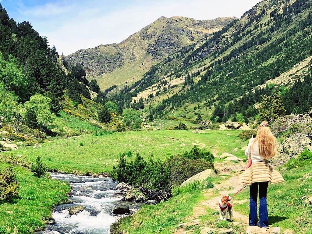 ライア・グラッシのインスタグラム：「Hiking with my beast 🐶🌳☀️ . . #freshair #mountains #hiking #family #adventures #healthy #pirineos #andorra」
