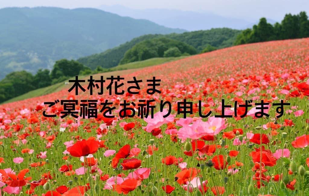 井上貴子のインスタグラム：「突然の訃報。 内容の全てはわからない。 花の本音もわからない。  全てが明らかになっても  きっと  花の 本当の気持ちはわからない。  誰にもわからない。  全く同じ状況下にあっても 人の気持ちはナマモノ。  新鮮で繊細。  だから  わかるはずがない。  ただ大切な人を失った人の 気持ちは痛いほどよくわかる。  花とアタシの思い出を  いつか 花の大切な人に届けたい。  合掌。  #木村花 #木村響子 #井上貴子」