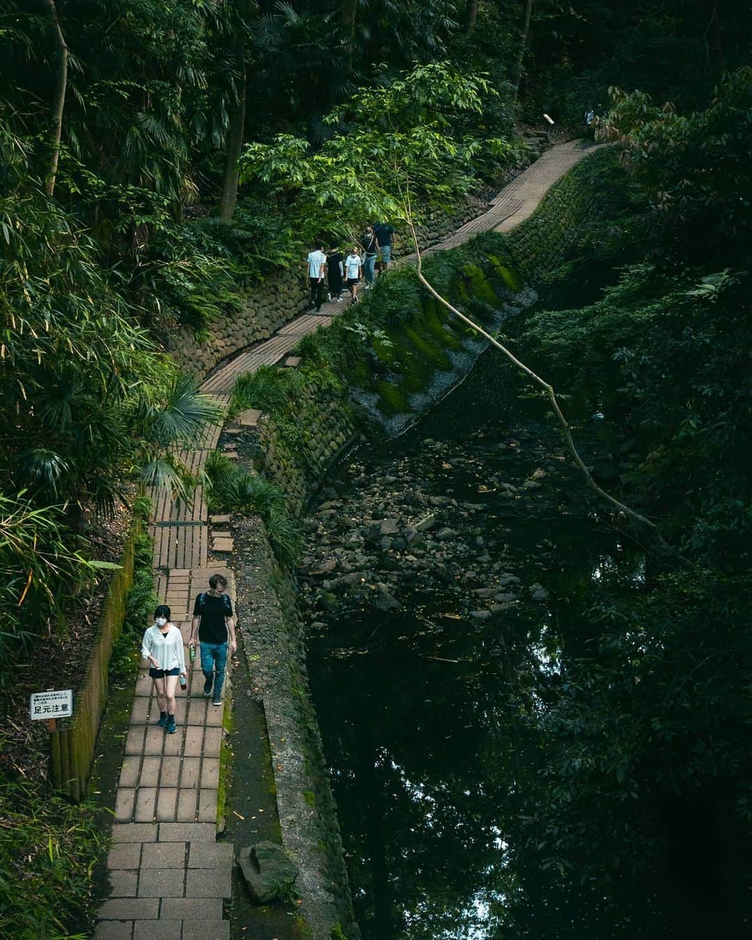 Joshさんのインスタグラム写真 - (JoshInstagram)「Todoroki Valley contains the only ravine in Tokyo. Decided I'd stop by on my 3 hour walk around outside yesterday to clear my mind. None of these shots are particularly great but I'm just happy to put them together. . . . . . #東京 #東京カメラ部 #日本 #写真部 #ourmoodydays #streetframe #streetclassics #streets_vision #urbanromantix #urbanandstreet #citygrammers #killyourcity #discoverjapan #discovertokyo #streetmobs  #japan_vacations #urban_shutter #tokyocameraclub #streetdreamsmag #night_owlz #citykillerz #street_focus_on #streetgrammer #visitjapanjp #explorejapan #fatalframes #agameoftones #rawurbanshots #igjapan #igersjp」5月25日 9時45分 - joshtaylorjp