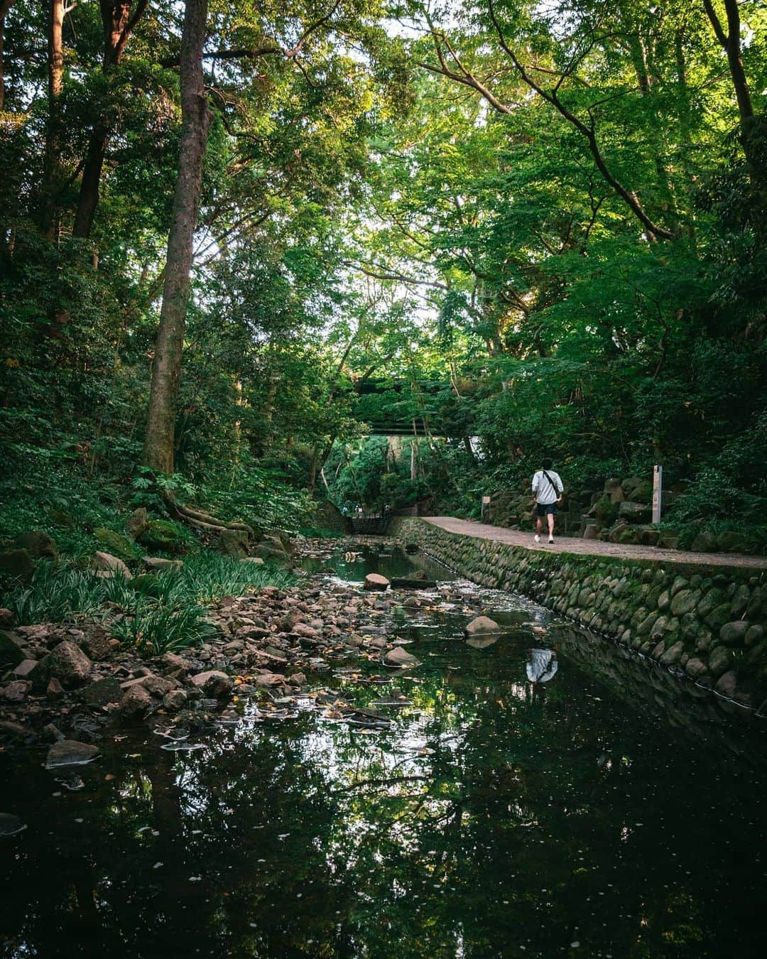 Joshさんのインスタグラム写真 - (JoshInstagram)「Todoroki Valley contains the only ravine in Tokyo. Decided I'd stop by on my 3 hour walk around outside yesterday to clear my mind. None of these shots are particularly great but I'm just happy to put them together. . . . . . #東京 #東京カメラ部 #日本 #写真部 #ourmoodydays #streetframe #streetclassics #streets_vision #urbanromantix #urbanandstreet #citygrammers #killyourcity #discoverjapan #discovertokyo #streetmobs  #japan_vacations #urban_shutter #tokyocameraclub #streetdreamsmag #night_owlz #citykillerz #street_focus_on #streetgrammer #visitjapanjp #explorejapan #fatalframes #agameoftones #rawurbanshots #igjapan #igersjp」5月25日 9時45分 - joshtaylorjp