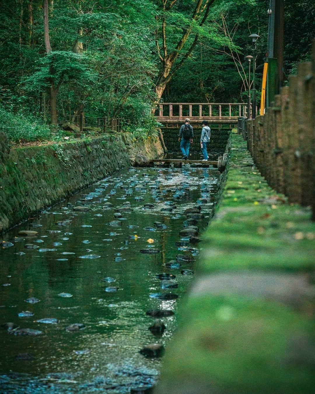 Joshさんのインスタグラム写真 - (JoshInstagram)「Todoroki Valley contains the only ravine in Tokyo. Decided I'd stop by on my 3 hour walk around outside yesterday to clear my mind. None of these shots are particularly great but I'm just happy to put them together. . . . . . #東京 #東京カメラ部 #日本 #写真部 #ourmoodydays #streetframe #streetclassics #streets_vision #urbanromantix #urbanandstreet #citygrammers #killyourcity #discoverjapan #discovertokyo #streetmobs  #japan_vacations #urban_shutter #tokyocameraclub #streetdreamsmag #night_owlz #citykillerz #street_focus_on #streetgrammer #visitjapanjp #explorejapan #fatalframes #agameoftones #rawurbanshots #igjapan #igersjp」5月25日 9時45分 - joshtaylorjp