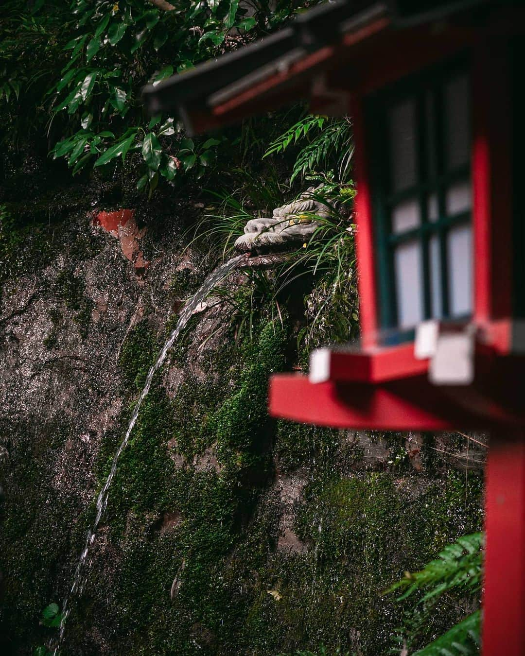 Joshさんのインスタグラム写真 - (JoshInstagram)「Todoroki Valley contains the only ravine in Tokyo. Decided I'd stop by on my 3 hour walk around outside yesterday to clear my mind. None of these shots are particularly great but I'm just happy to put them together. . . . . . #東京 #東京カメラ部 #日本 #写真部 #ourmoodydays #streetframe #streetclassics #streets_vision #urbanromantix #urbanandstreet #citygrammers #killyourcity #discoverjapan #discovertokyo #streetmobs  #japan_vacations #urban_shutter #tokyocameraclub #streetdreamsmag #night_owlz #citykillerz #street_focus_on #streetgrammer #visitjapanjp #explorejapan #fatalframes #agameoftones #rawurbanshots #igjapan #igersjp」5月25日 9時45分 - joshtaylorjp