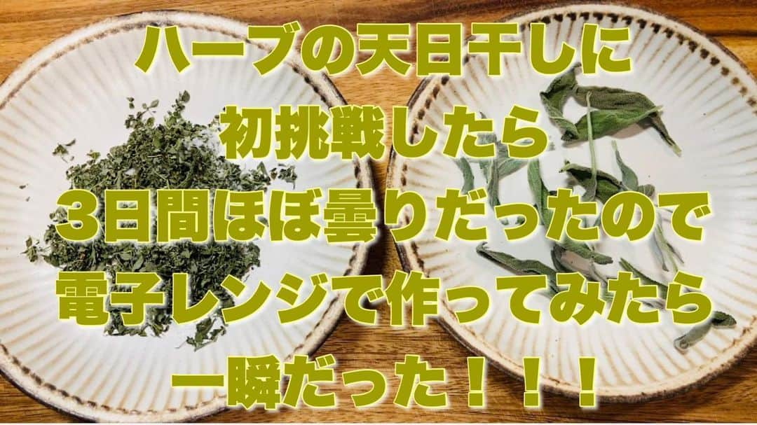 原田良也さんのインスタグラム写真 - (原田良也Instagram)「ベランダで育てているハーブがどうなったか！ プロフィールからYouTubeチャンネルへ飛んでください♪ #おうち時間 #ベランダガーデニング #ハーブ #ドライハーブ #ハラダ手作り」5月25日 9時50分 - irasshassee