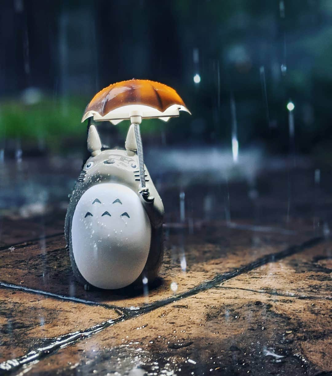 ケリー・ハーリーのインスタグラム：「I. Love. Totoro. ☔」