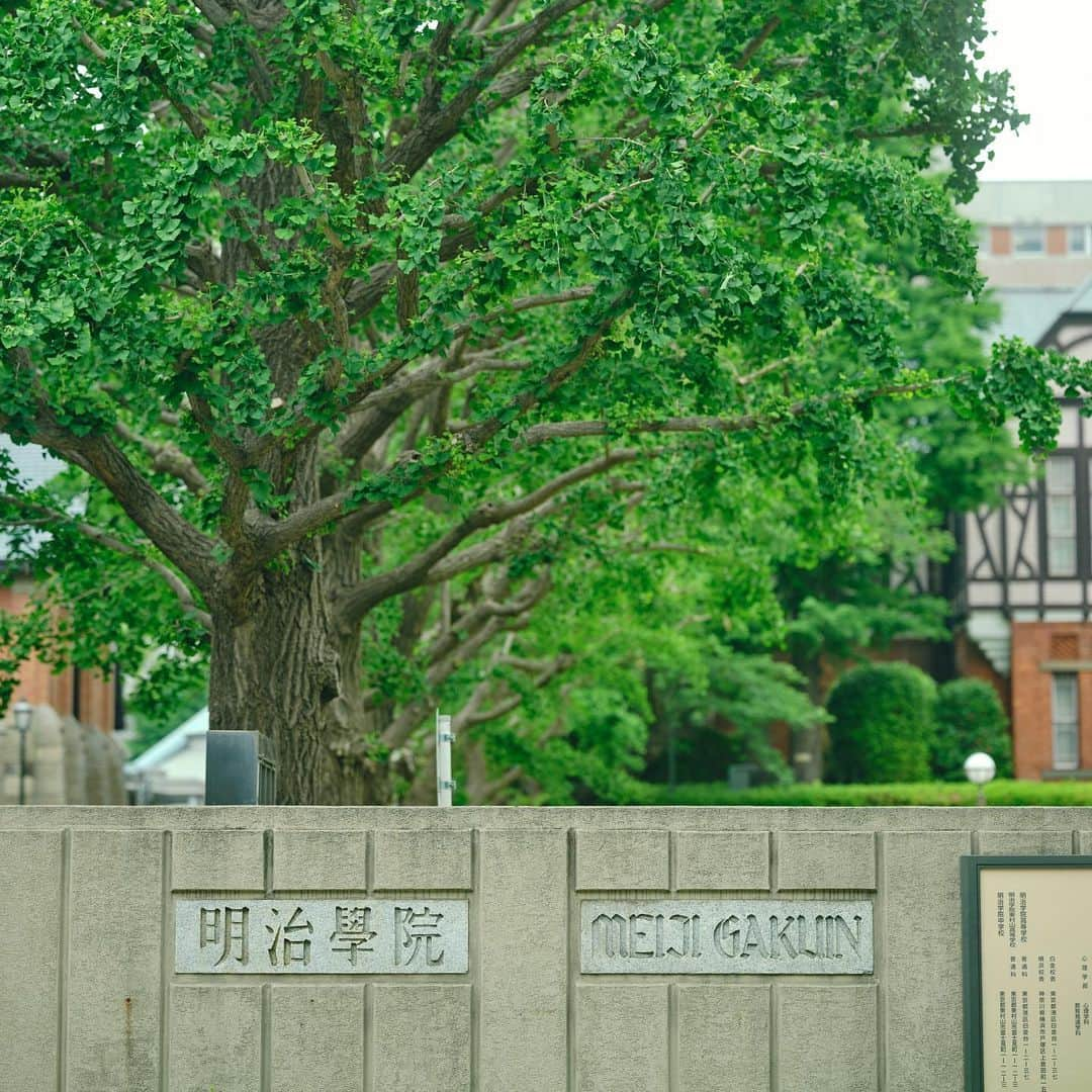 Meiji Gakuin/明治学院大学/明学のインスタグラム