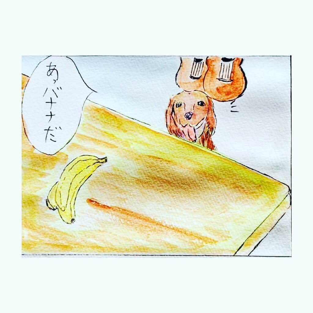 篠原信一さんのインスタグラム写真 - (篠原信一Instagram)「昨日のInstagramの写真をスケッチ。 息子くんに絵の具を借りて...色をぬり🖌 絵を描くって楽しいな。 たまに、犬の気持ち🐕🐶を描こうと思います🤗 #スケッチ #犬の気持ち #難しい #絵の具 #絵 #水彩画 #絵を描こう #犬のきもち  #いぬのきもち」5月25日 10時45分 - s.shinohara_life