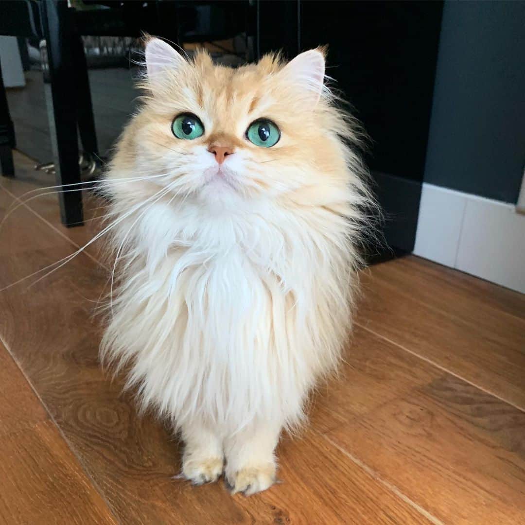 のインスタグラム：「Happy Sunday!」