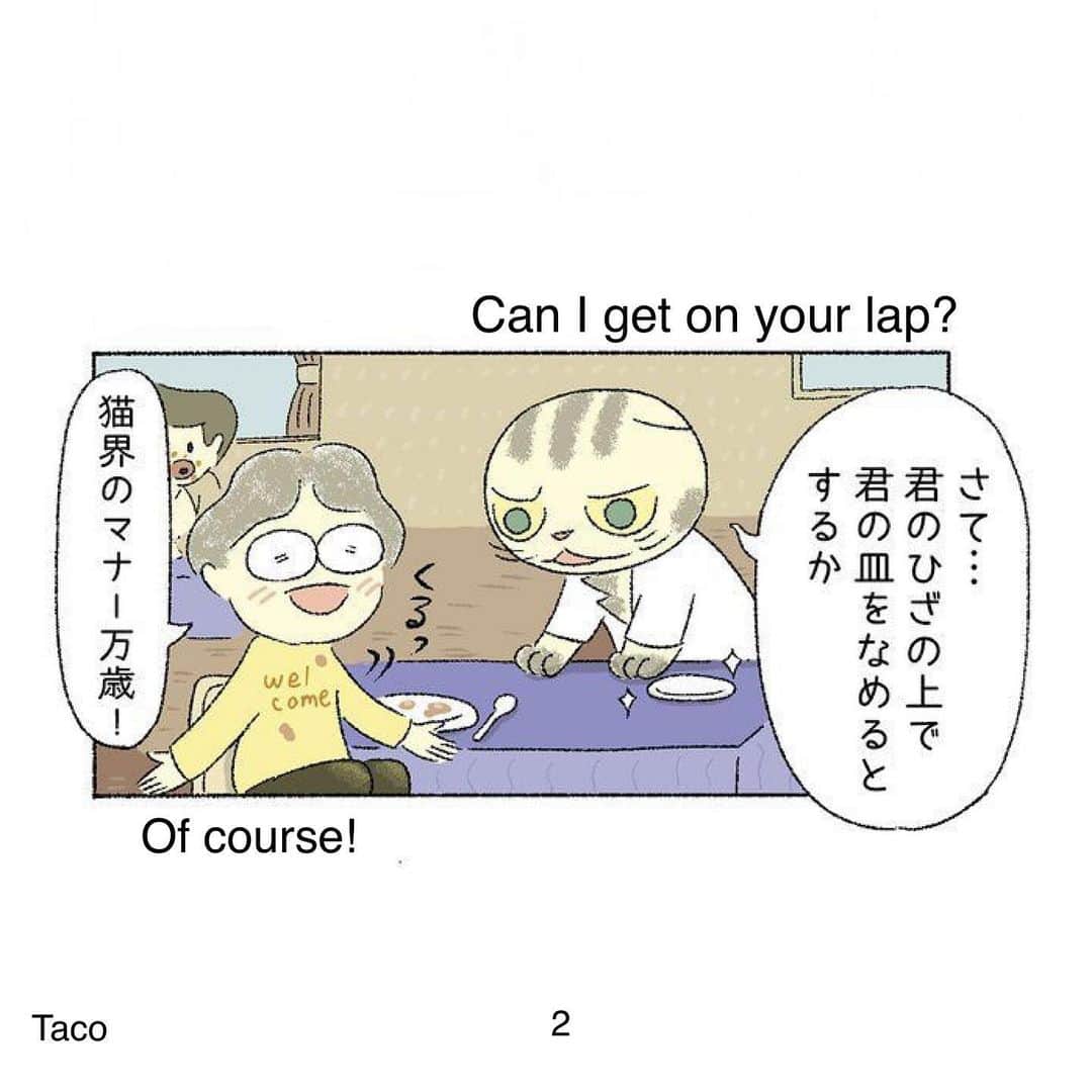 Shishi-maruさんのインスタグラム写真 - (Shishi-maruInstagram)「🐱ねこのきもちWEBMAGAZINE にて、猫エッセイが更新されました。今回はご飯入れの前で待つししまるのお話です。アプリ版もありますので是非。 お楽しみください。 【渋ネコししまるさん】#48 ｜ねこのきもちWEB MAGAZINE  https://cat.benesse.ne.jp/lovecat/content/?id=69936 🐱My essay about Shishi-maru is serialized in a weekly magazine:) ーーーーーーーーーーーーー 🌺「渋ネコ ししまるさん」ねこのきもちWEB MAGAZINE にて毎週金曜日エッセイの連載中 ーーーーーーーーーーー 📕「ぷっちねこ。」「3匹のちいさな猫を召喚できたなら」「ちいさな猫を召喚できたなら」徳間書店より単行本発売中 ーーーーーーーーーーー ⭐︎ねこ漫画→@tacos_cat 🌺Twitter →@taco_emonemon ーーーーーーーーーーー」5月25日 5時32分 - emonemon