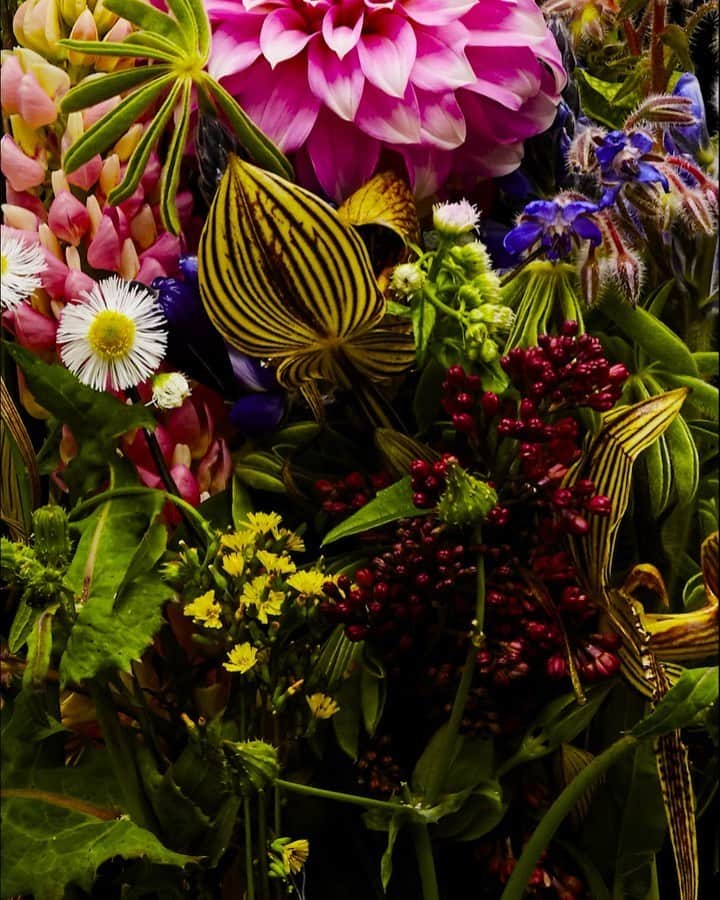 椎木俊介のインスタグラム：「Flowers  #azumamakoto #makotoazuma #shiinokishunsuke #amkk #amkkproject #flowers #flowerart #東信 #東信花樹研究所 #花  #timelapse #30s」