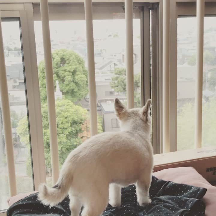 橋本塁のインスタグラム