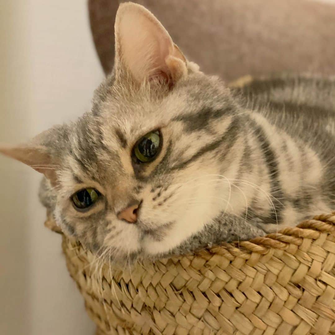 なごむのインスタグラム