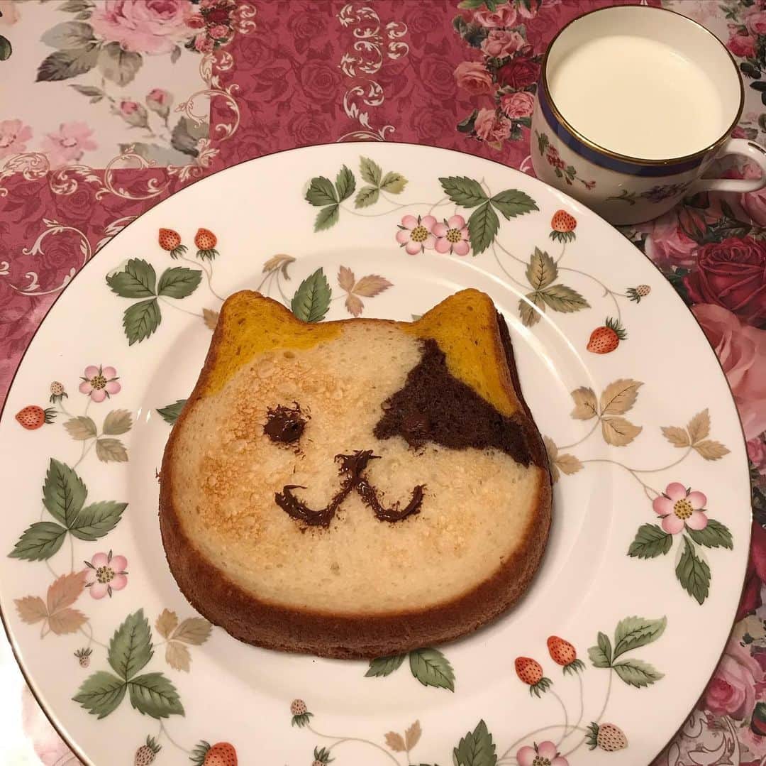 田中琴乃さんのインスタグラム写真 - (田中琴乃Instagram)「おはようございます☀ ・ 朝食はネコ食パン🐈 ・ ・ #猫  #ネコ食パン」5月25日 7時43分 - tanakakotono