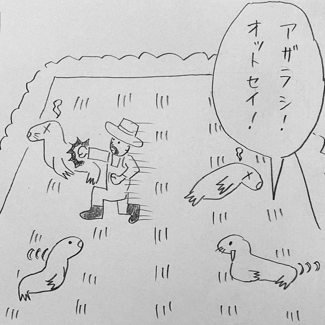 新山大さんのインスタグラム写真 - (新山大Instagram)「アシカとオットセイとアザラシとセイウチ…。 #三コマ漫画 #3コマ漫画 #一日一作品 #29作品目 #見分け方わかんない」5月25日 20時25分 - dai_niiyama