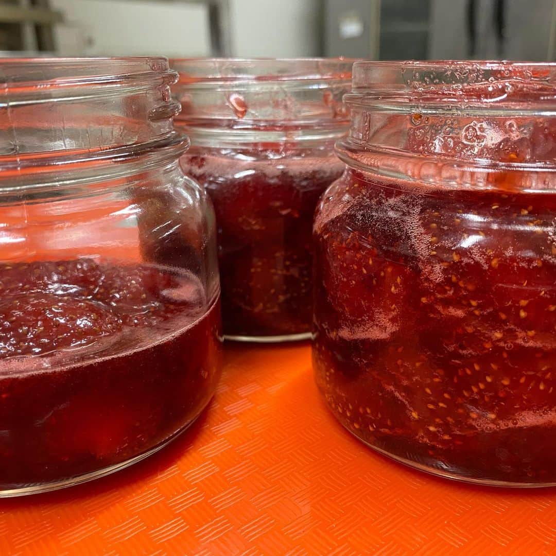 魔女菅原のグルメインスタ