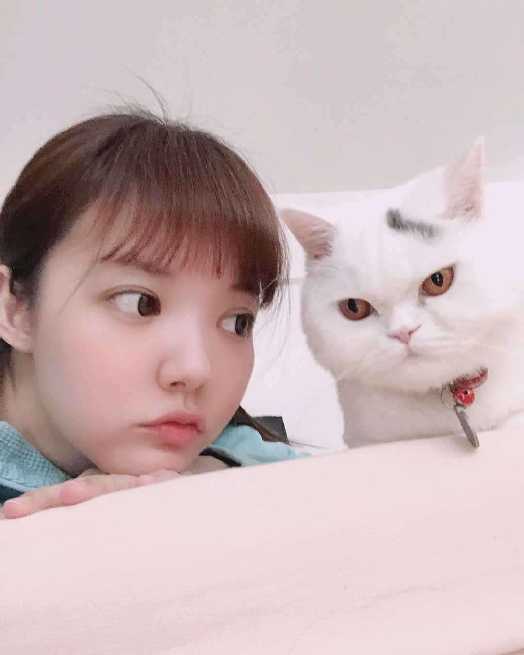 YingTzeさんのインスタグラム写真 - (YingTzeInstagram)「Just me trying to be close to my boy Lancelot. He is still unhappy about his short fur 😂😂😂😂 _ #blessed #catsofinstagram #catsmalaysia #girlswithcats」5月25日 19時04分 - yingtze