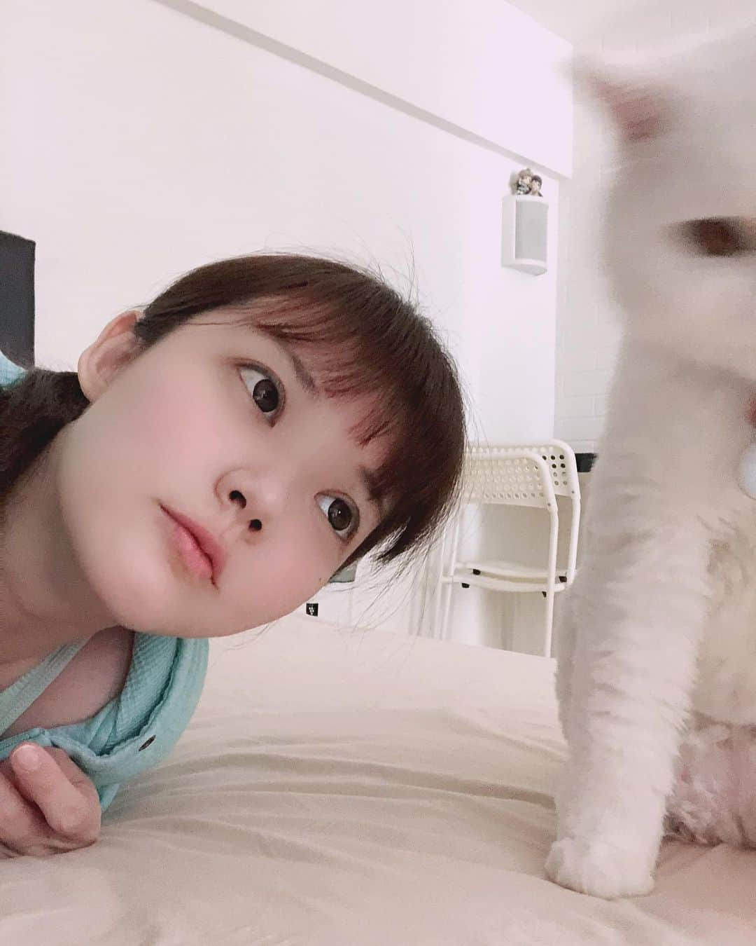 YingTzeさんのインスタグラム写真 - (YingTzeInstagram)「Just me trying to be close to my boy Lancelot. He is still unhappy about his short fur 😂😂😂😂 _ #blessed #catsofinstagram #catsmalaysia #girlswithcats」5月25日 19時04分 - yingtze