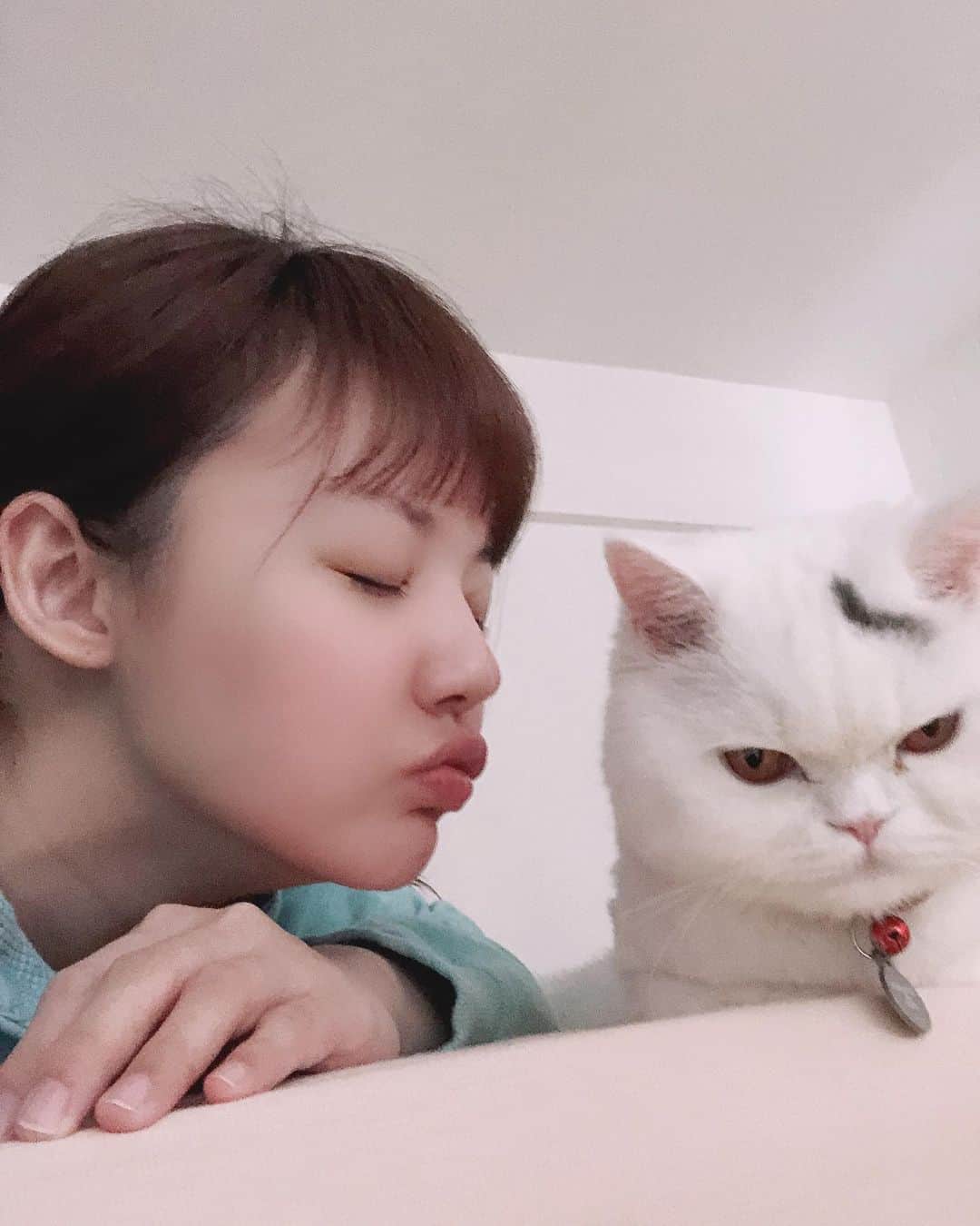 YingTzeさんのインスタグラム写真 - (YingTzeInstagram)「Just me trying to be close to my boy Lancelot. He is still unhappy about his short fur 😂😂😂😂 _ #blessed #catsofinstagram #catsmalaysia #girlswithcats」5月25日 19時04分 - yingtze