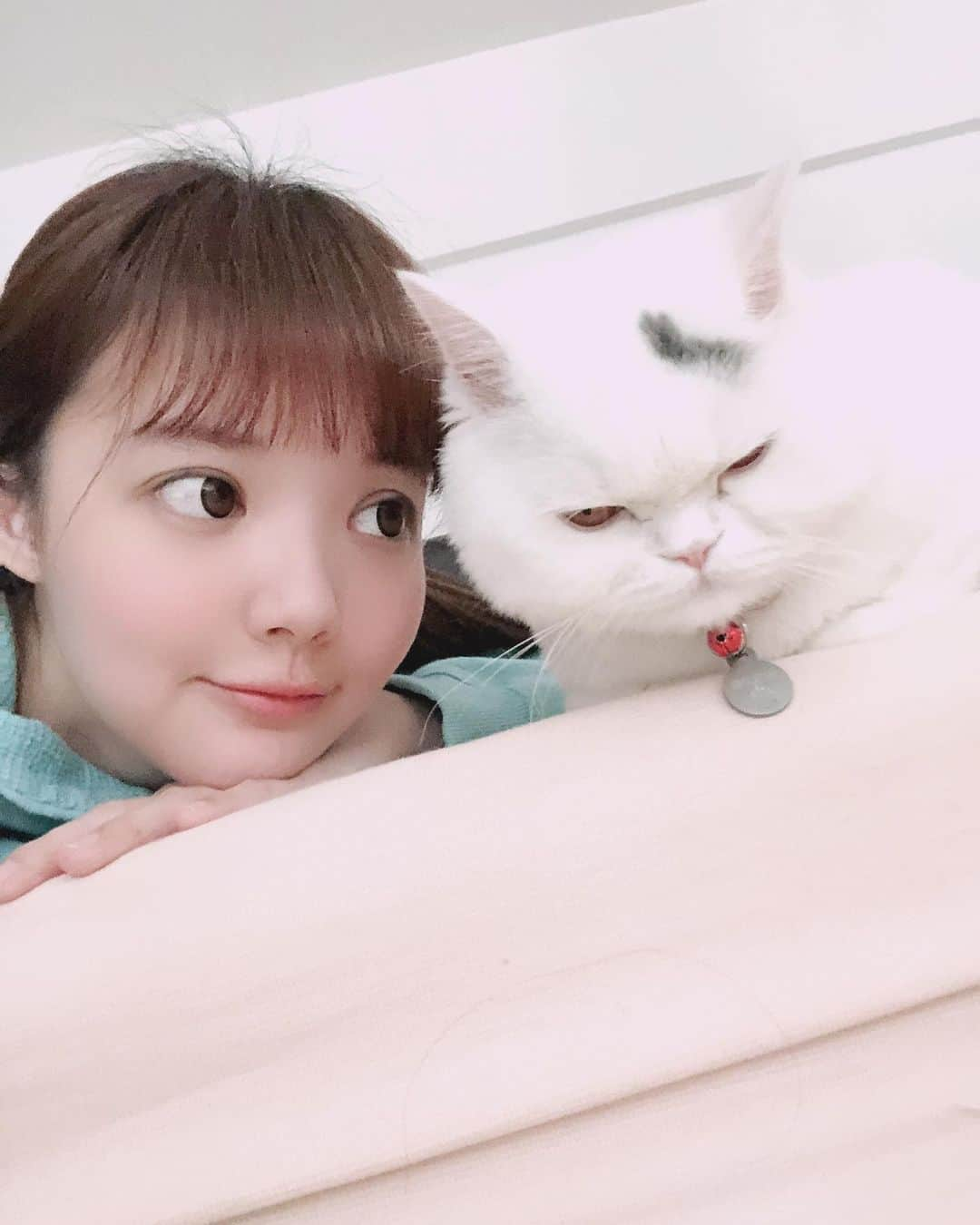 YingTzeさんのインスタグラム写真 - (YingTzeInstagram)「Just me trying to be close to my boy Lancelot. He is still unhappy about his short fur 😂😂😂😂 _ #blessed #catsofinstagram #catsmalaysia #girlswithcats」5月25日 19時04分 - yingtze