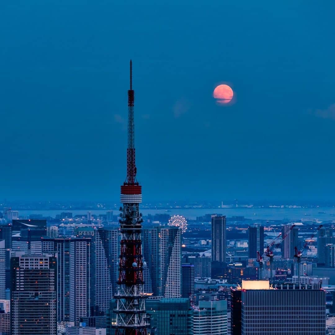 Tokyo City View 六本木ヒルズ展望台のインスタグラム：「📸六本木ヒルズ展望台 東京シティビューから、絶景画像をお届け中！  ピンクのまるい月が青い夜空に浮かぶ、ある宵の口の東京です。東京タワーの向こうに見える、ひっそり咲いた小さな花のような観覧車もほんのりピンクに染まっています。🎡✨ #東京シティビュー #tokyocityview #休館中の展望台 #SNSで楽しむ展望台 #荒谷良一  #東京タワー」