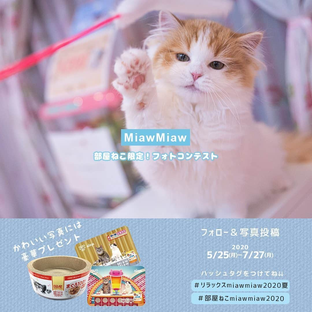 MiawMiawさんのインスタグラム写真 - (MiawMiawInstagram)「＼部屋ねこ限定🐈🏠！フォトコンテスト開催中📷🏆！／⁣ ⁣ MiawMiawはただいまフォトコンテストを開催中♪⁣ 自慢の猫ちゃんを投稿して豪華賞品をGETしよう🎉⁣ ⁣ おうち時間が増えて、みなさんも猫ちゃんと一緒の時間が増えているはず✨⁣ おうちの中でかわいい猫ちゃんの写真を撮ったら、⁣ テーマに合う指定の応募ハッシュタグをつけて投稿してください🐈💓⁣ ⁣ ⁣ ＜参加方法＞⁣ ① @miawmiaw_series (ミャウミャウ公式アカウント)をフォロー⁣ ② 応募テーマに合ったお写真を撮影する（おうちの中での写真なら過去の写真でもOK)⁣ ③ 下記のフォトコン専用ハッシュタグの中から、一つ選んで投稿する（複数応募・複数枚投稿可）⁣ ※キャンペーン期間外(過去投稿)の投稿に応募ハッシュタグを付けた場合はキャンペーンの応募対象外とさせていただきます。ご了承ください。⁣ ⁣ ＜フォトコン専用ハッシュタグ＞⁣ ①～②のいずれかの応募テーマを選択し、指定のハッシュタグを付けて投稿してください♪⁣ ⁣ 【①猫ちゃんのリラックスしているフォト】⁣ #リラックスmiawmiaw2020夏⁣ ※「2020夏」を付けていただかないと今回の応募の対象になりませんのでご注意ください。⁣ ⁣ 【②お部屋の中にいる猫ちゃんのフォト】⁣ #部屋ねこmiawmiaw2020⁣ ⁣ フォトコンテスト期間中、指定のハッシュタグでご参加いただいている方を、当アカウントでご紹介させていただくこともございます😻📷♪⁣ ⁣ ＜募集期間＞⁣ 2020年5月25日(月)～2020年7月27日(月)23:59まで⁣ ⁣ ＜賞品＞⁣ 🏆大賞　各テーマ1名様　：投稿フォト入りオリジナル猫用爪とぎ＋MiawMiaw商品詰め合わせ⁣ 🏆金賞　各テーマ3名様　：オリジナルQUOカード( 合計800円分)＋MiawMiaw商品詰め合わせ⁣ 🏆銀賞　各テーマ5名様　：MiawMiaw商品詰め合わせ⁣ ⁣ ※賞品の画像はイメージです。変更になる場合がございます。⁣ ⁣ ＜当選者様へのご連絡＞⁣ 当選者発表は8⽉中旬を予定しております。⁣ 当選者の⽅には Instagram上のDMにてご連絡致します。⁣ ⁣ ＜ご注意＞⁣ ＊本キャンペーンにご参加いただくことにより、本募集要項に同意いただいたものとみなします（未成年の方については、親権者に同意いただいたものとみなします）。⁣ ＊選考時に、アカウントフォロー及び指定のハッシュタグ投稿を継続いただいていることが確認できない場合、選考の対象から外れることがあります。フォトコンテスト終了からおおむね1か月程度、参加条件に達する状態を継続いただくことをお勧めします。⁣ ＊アカウントを非公開設定にしている場合は選考対象外となります。⁣ ＊再選考は行いません。⁣ ＊当選者は、配送の都合で日本国内にお住まいの方に限らせていただきます。⁣ ＊企業アカウントからのご応募は選考対象外となります。⁣ ＊賞品の返品・交換はできませんのでご了承くださいませ。⁣ ＊賞品の転売は禁止させていただきます。⁣ ＊通信環境の問題でDMが不着となった場合、又はご当選通知のDMに記載の手続きを履行いただけない場合、ご当選の資格は無効となります。⁣ ＊賞品画像はイメージとなります。⁣ ＊本キャンペーン参加にあたって生じるインターネット接続料や通信料、当選連絡DMに記載の手続を履践するにあたって生じる諸費用は、ご本人様の負担となります。⁣ ＊本キャンペーンで投稿いただいた写真や動画は、当社公式Instagramアカウントにてご紹介させていただく場合がございます。なお、このご紹介は選考結果とは関係がありません。⁣ ⁣ たくさんのご応募お待ちしております😻！⁣ ⁣ #miawmiaw #ミャウミャウ⁣ #部屋ねこ #おうち時間を楽しむ #フォトコンテスト #コンテスト #プレゼント企画 #プレゼント #プレゼントキャンペーン #キャンペーン開催中 #キャンペーン #ねこのいる生活 #ねこばか #ネコ好き #猫 #ねこ #ネコ #にゃんこ #猫部 #猫のいる暮らし #キャットフード #猫好きさんと繋がりたい #猫好き #にゃんこ部 #にゃんすたぐらむ #ねこすたぐらむ #にゃー #stayhome」5月25日 12時02分 - miawmiaw_series