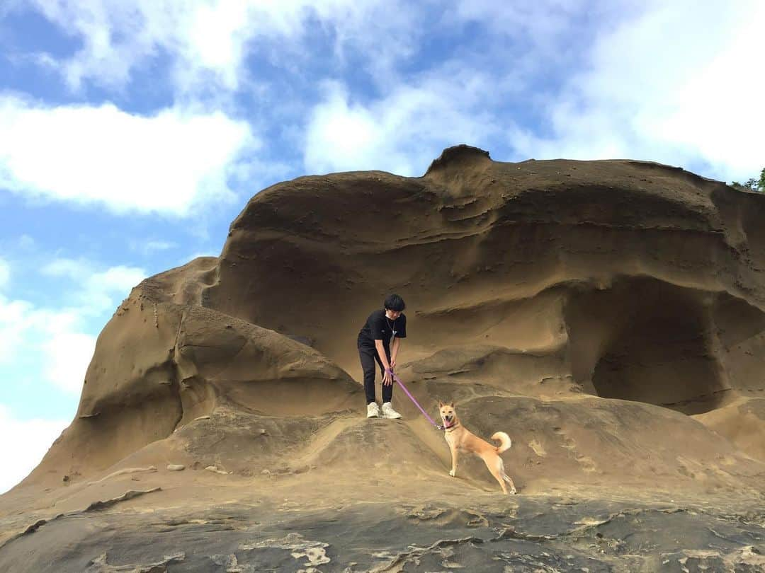 田辺あゆみさんのインスタグラム写真 - (田辺あゆみInstagram)「🐕 昨日は梅雨の合間のひっさしぶりの晴れだったので、あぐ美ちゃん、待ちに待ったおでかけ。  潮が引いていたから、一見グランドキャニオンのようなちっちゃい島まで砂浜からてくてくと歩いて行ける。 Rとあぐは登っていますが、当然わたしは登れない。 高所恐怖症なうえに、滑る(らしい)ので、見てるだけで膝ががくがくする😖  あぐは終始ドーパミン出まくりで瞳孔開いてました。 あぐは自然の中にいると、活き活きとしててカッコいいね。 #agnesmix」5月25日 12時17分 - _ayumitanabe_