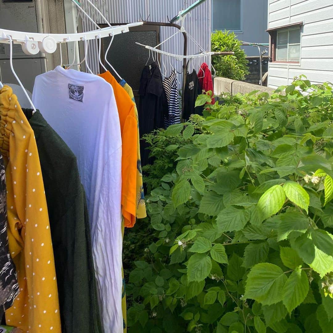 魔女菅原のグルメインスタ