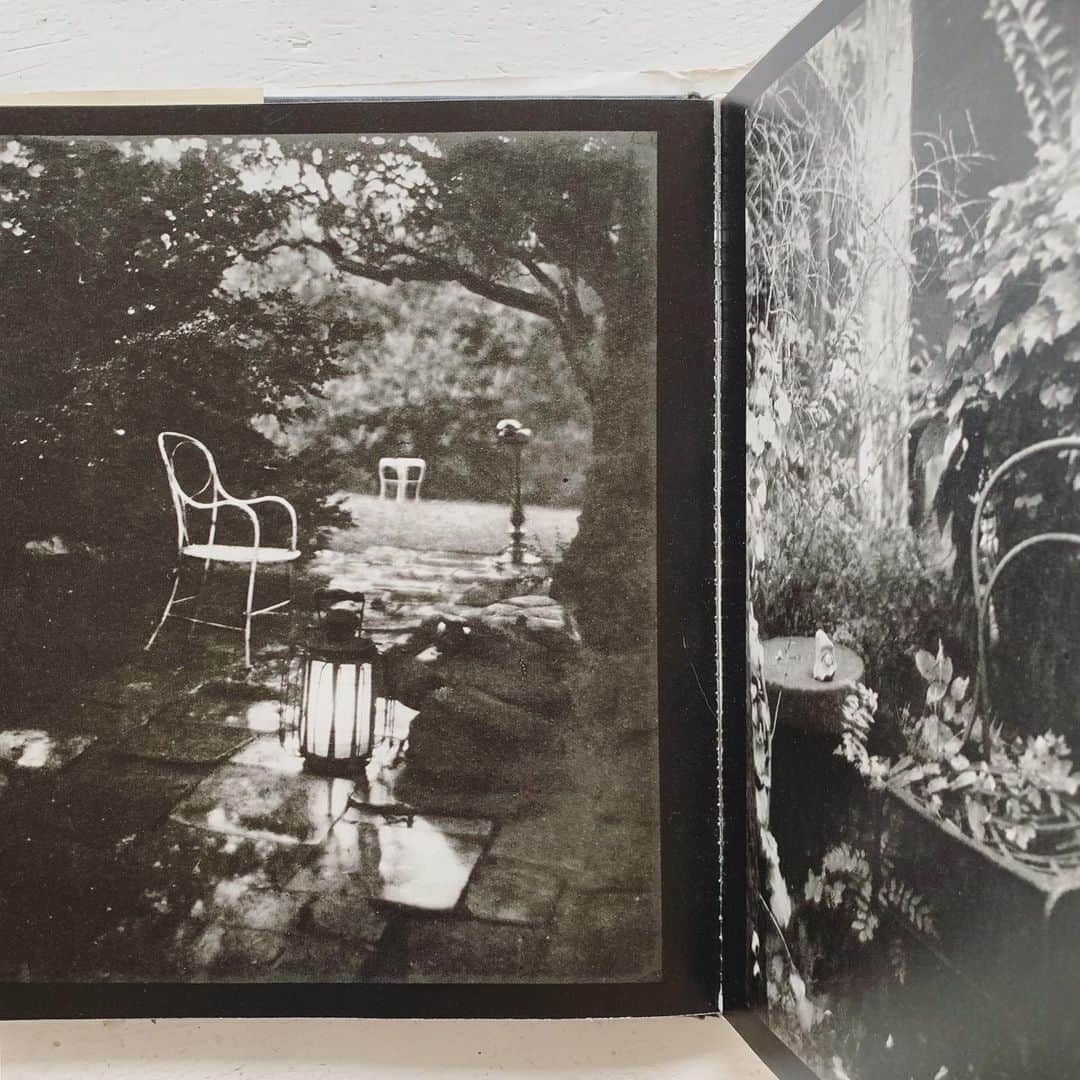 OKAさんのインスタグラム写真 - (OKAInstagram)「きっかけは見慣れた庭や部屋の中に。日常こそ詩的。#josefsudek」5月25日 13時32分 - ytrpics