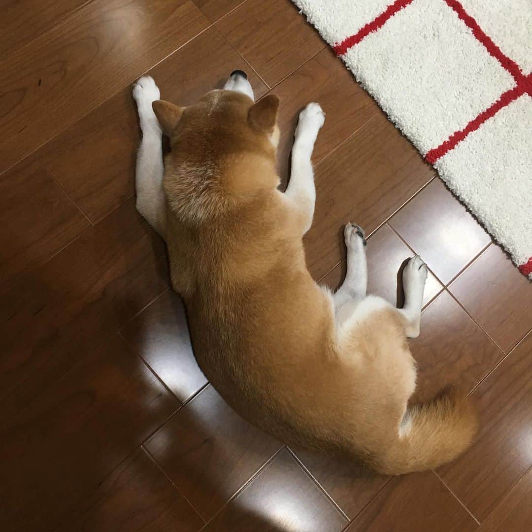 のインスタグラム：「涼 🎐」