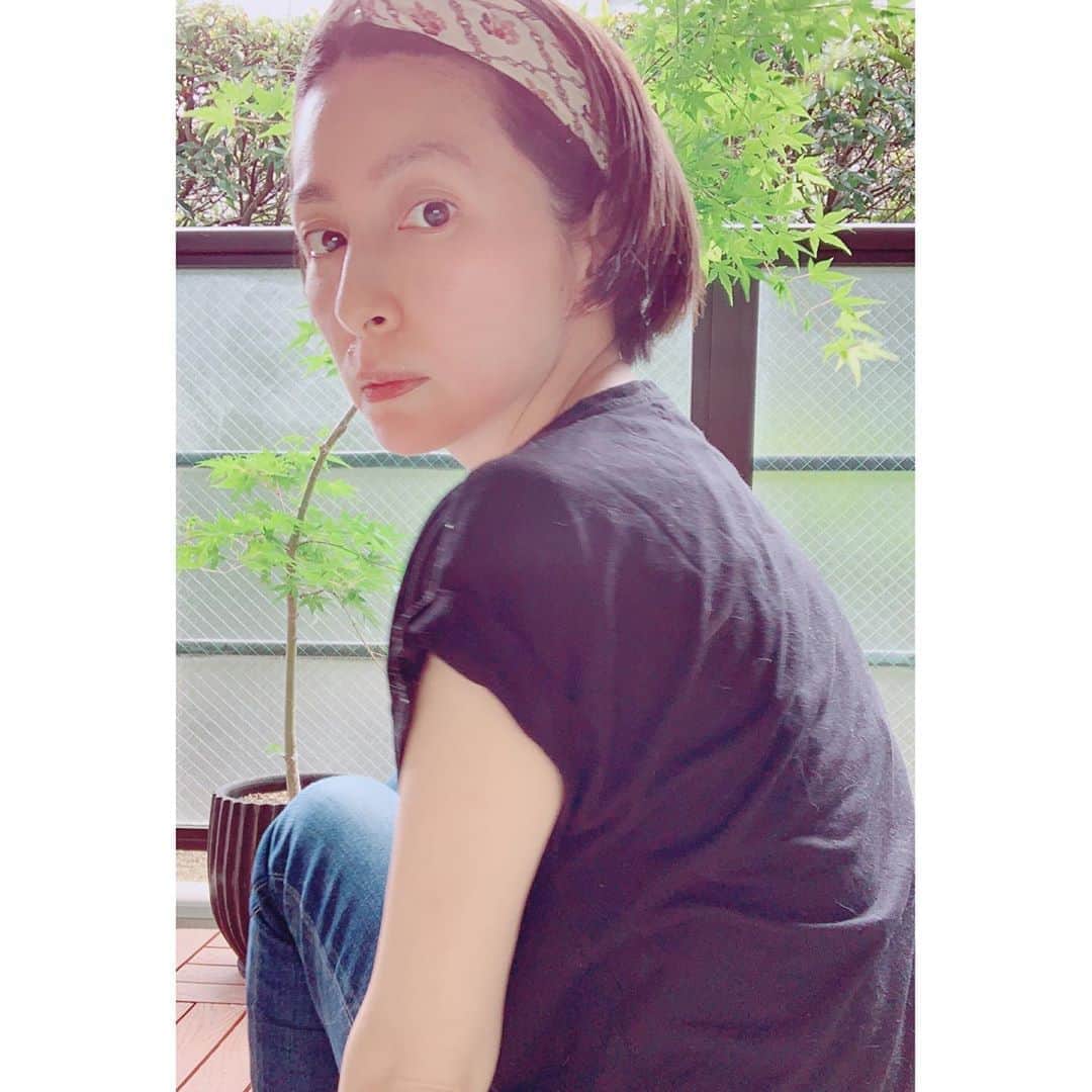 奥菜恵さんのインスタグラム写真 - (奥菜恵Instagram)「髪の毛が中途半端に伸びてしまい、ピン留めかスカーフ巻き巻きの日々でございます。  #奥菜 #2時30分 #ベランダ #私の癒し」5月25日 14時33分 - megumi_okina