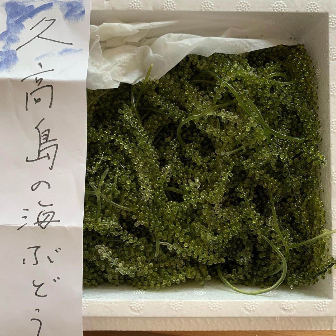 入江悠さんのインスタグラム写真 - (入江悠Instagram)「『AI崩壊』でご一緒した俳優さんから海ぶどうをいただきました。  海の匂いがパッと広がる。 家にこもってると、外の香りに敏感になりますね。 お心遣いに感謝です。」5月25日 14時41分 - u_irie