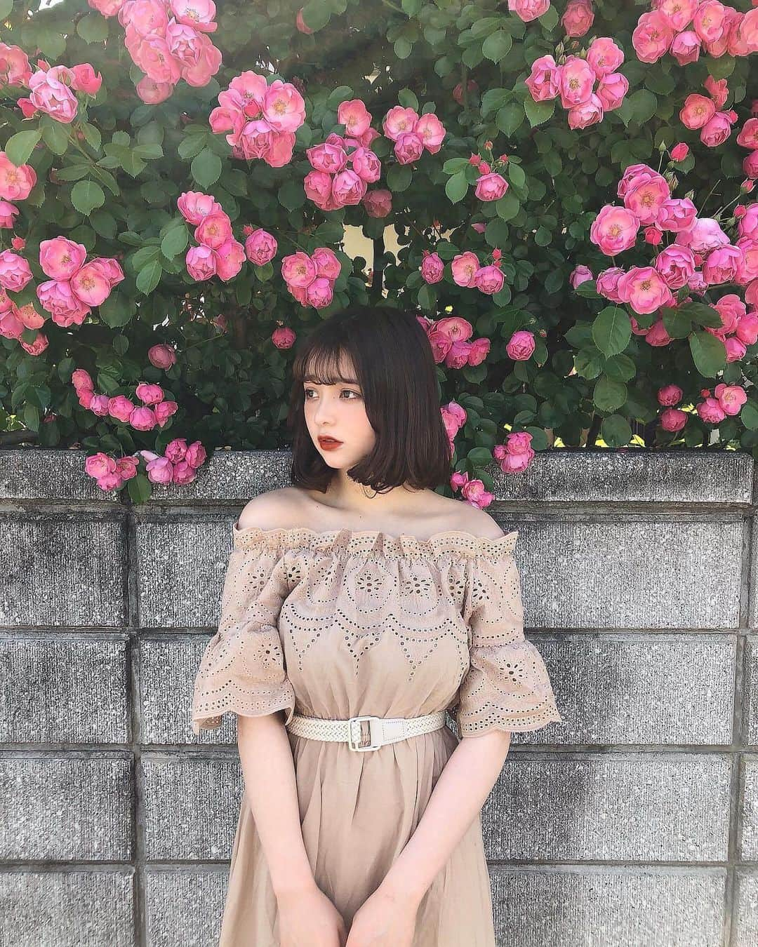 新田湖子さんのインスタグラム写真 - (新田湖子Instagram)「. おばあちゃん家に とっても綺麗な薔薇が咲いてるんだあ𓂃🌷⑅ . ほんとにワンピース大好き♡♡ #deisylotte @deisylotte_official」5月25日 20時27分 - coconitta0809