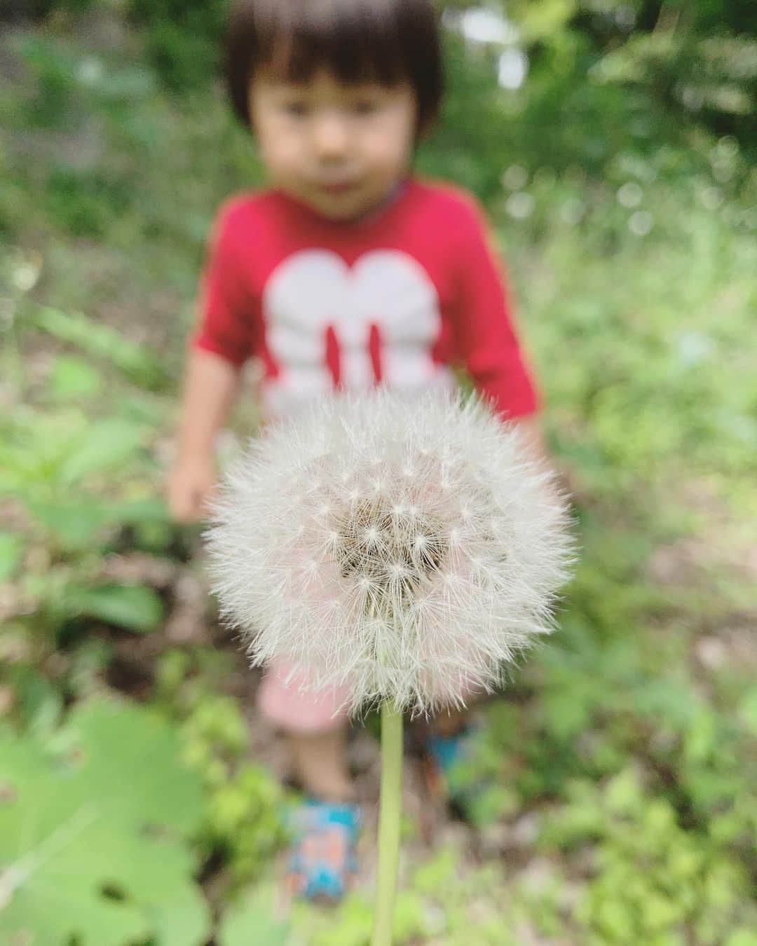 座間アキーバのインスタグラム：「幸い仕事も少しずつ元どおりに戻りつつある。だけど毎日何も考えずに子供と遊ぶ日々が少なくなるのは切ない(T . T)  Life is coming back to normal here in Tokyo and fortunately work for me is coming back at a good pace. Gotta make a living, but I will miss these days of absolutely no work and only play.  #family」