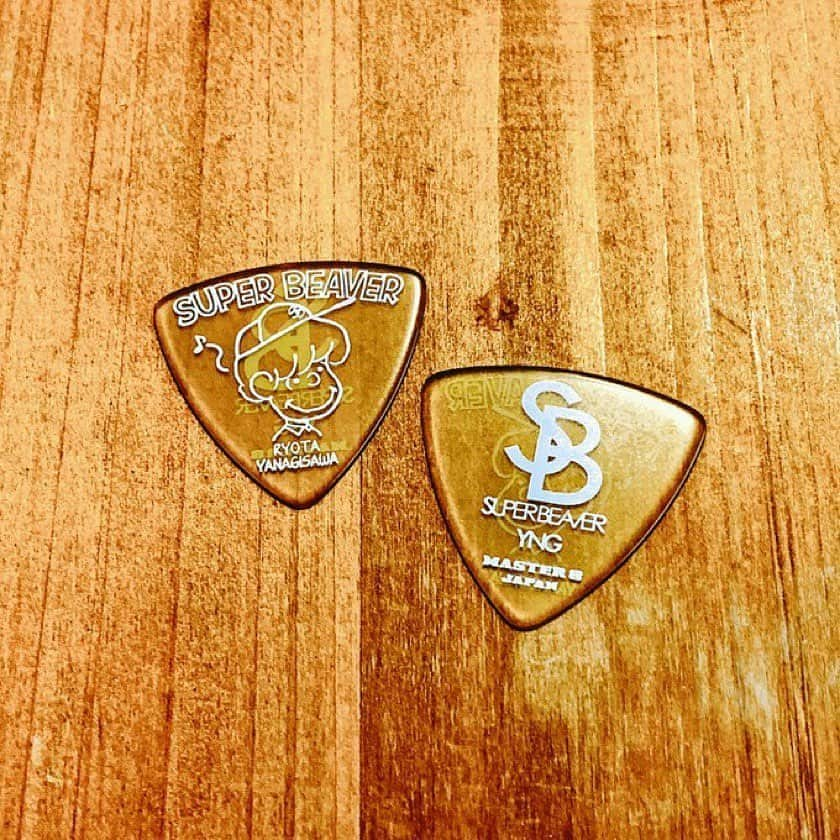 柳沢亮太さんのインスタグラム写真 - (柳沢亮太Instagram)「柳沢亮太オリジナルピック。[MASTER 8 JAPAN GUITAR PICKS / ULTEM 0.88mm] デザインは @sabbat13_shotaro #master8 #SUPERBEAVER #guitarpick」5月25日 15時47分 - yayayayanagi