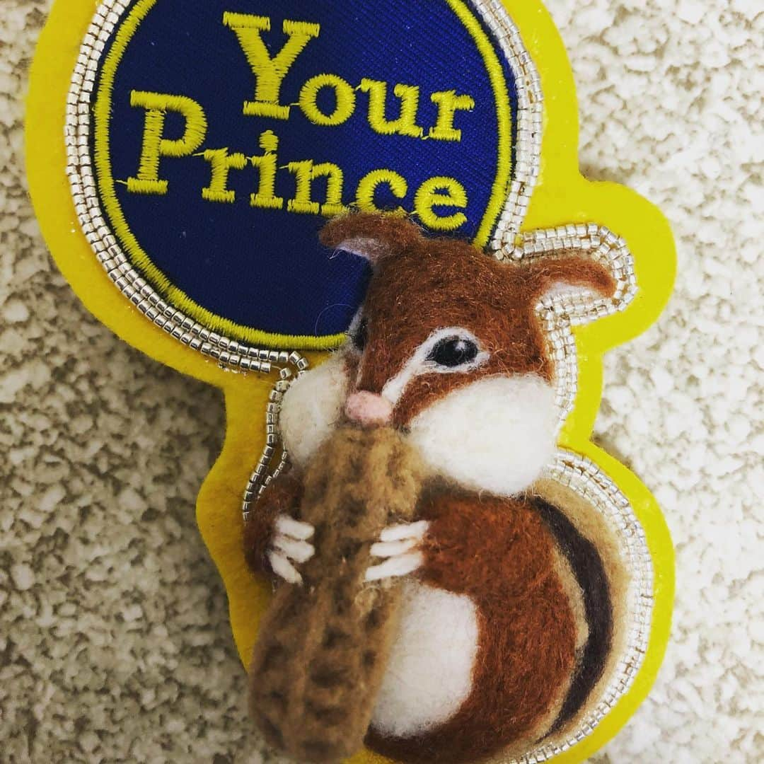 光浦靖子さんのインスタグラム写真 - (光浦靖子Instagram)「#felting #needlefelt #squirrel  #フェルト人形　#リスマスコット　#peanat  新作よ。リスよ。ワッペンが可愛いでしょ？　さすがに買ったわよ。」5月25日 16時47分 - yasukomitsuura