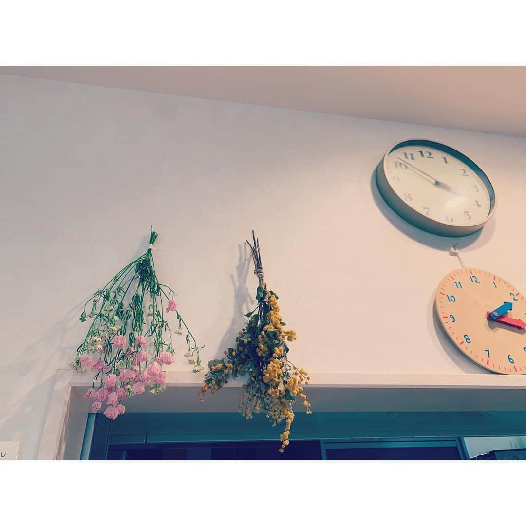 kainatsuさんのインスタグラム写真 - (kainatsuInstagram)「増えた☺︎ ここからもう少し乾かします。」5月25日 17時10分 - natsugram_life