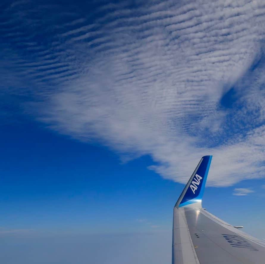 ANAさんのインスタグラム写真 - (ANAInstagram)「空と雲のあいだ✈️﻿ ﻿ #私たちの居場所 #大好きな景色 #青い翼 #ANAブルー #みんなを乗せて #大空を飛びたい #羽ばたく #日本の空  #上空 #翼 #雲 #青い空 #澄み切った空 #ボーイング767 #b767 #ソラマニ_マドカラ #機窓  #sky #cloud #wing #anablue #clearsky #anaairplane #camera #stayhome #ana_jp﻿ ﻿ 機窓からの風景は「#ソラマニ_マドカラ」をつけて投稿してね📷インスタやANAの各メディアでご紹介していきます💙」5月25日 17時33分 - ana.japan