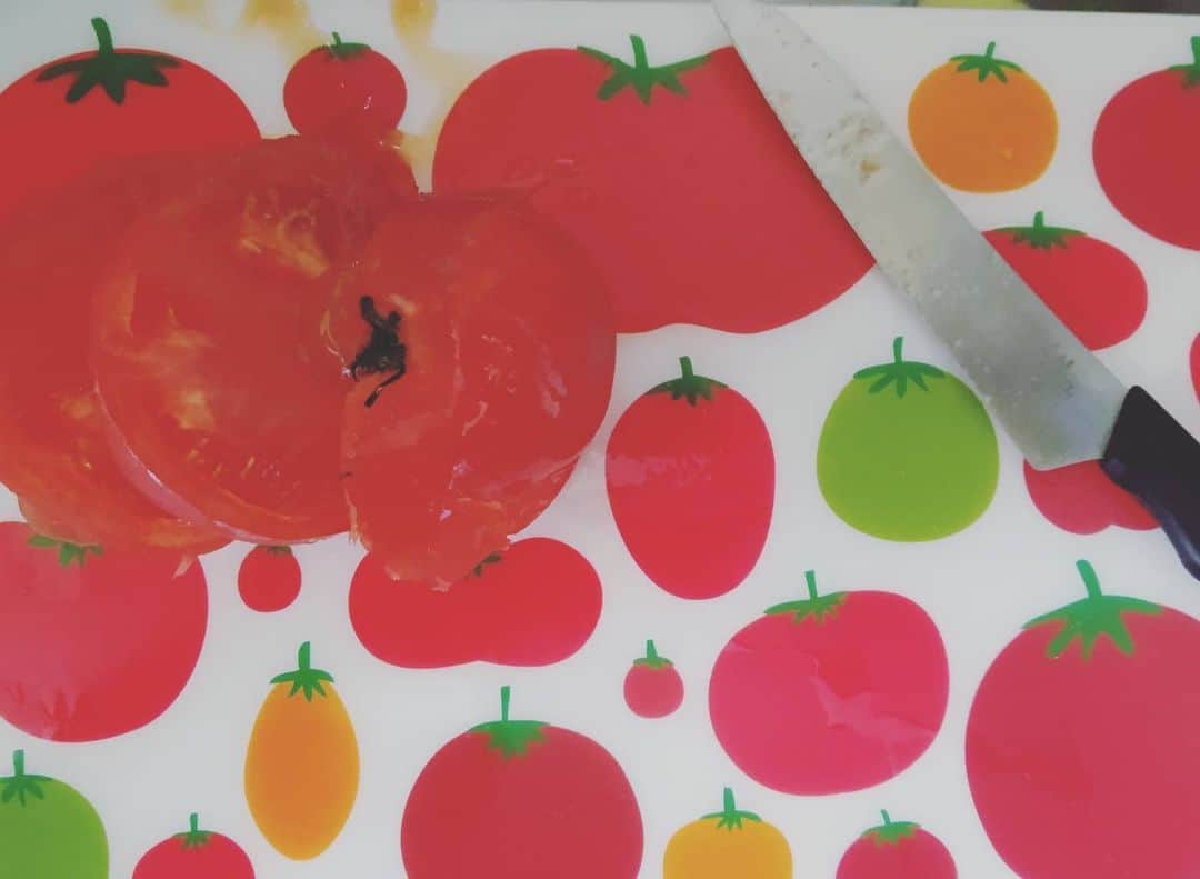 山本しろうさんのインスタグラム写真 - (山本しろうInstagram)「トマトはやっぱりまな板にかぎる #二日で一トマト  #まな板 #いただきもの  #トマト #トマト！！」5月25日 17時43分 - yamamotoshiroto