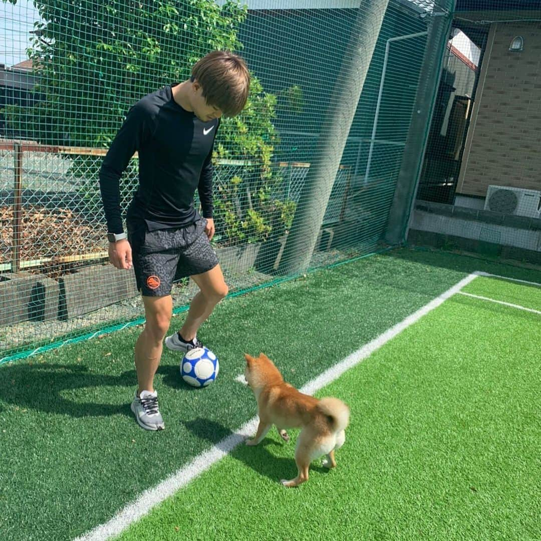 松原后さんのインスタグラム写真 - (松原后Instagram)「Training partner🐶  #愛犬 #dog」5月25日 17時53分 - ko__matsubara