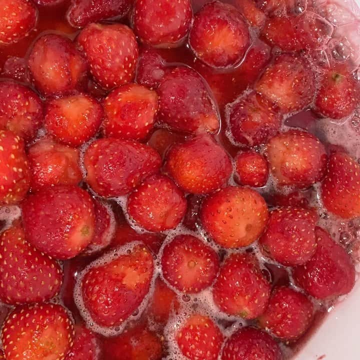 魔女菅原のグルメインスタ