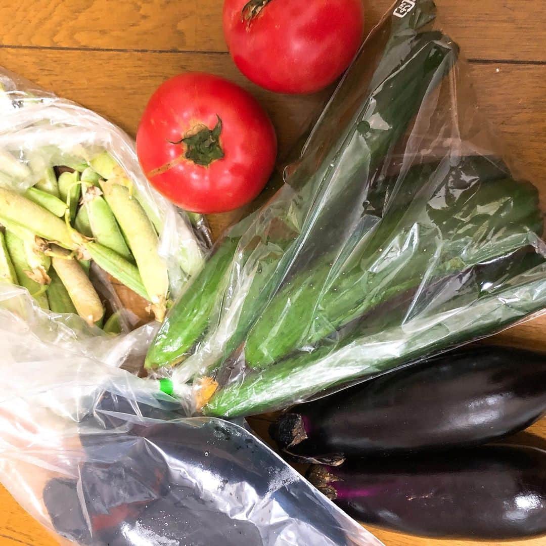 嶺恵斗さんのインスタグラム写真 - (嶺恵斗Instagram)「京都のお野菜 ・ いつも実家に売りに来てくれる 八百屋さんのお野菜🍆 で お家ごはん✨ そのまま食べでも美味しいけど 子供用に揚げてみたり！  これは飲みたくなる…🍺 #お家ごはん #京野菜  #幸せ時間 #母に感謝  #かき揚げ #カポナータ #主婦日記 #嶺恵斗  #love #kyoto」5月25日 18時27分 - etsuko__7