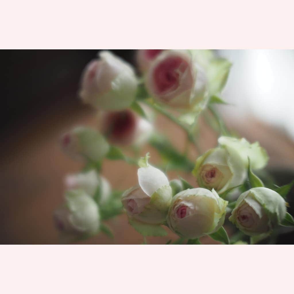 花澄のインスタグラム