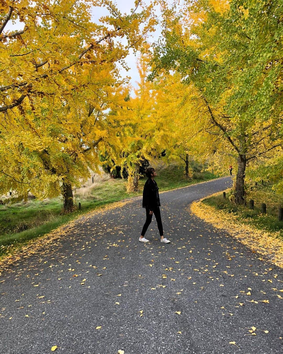 徳永千奈美さんのインスタグラム写真 - (徳永千奈美Instagram)「今日はたーくさん寝た！ 最近は朝目が覚めた時にまだ外が薄暗い時があって、その時にパッと起きるととてもいい気分なの😌✨ そういえば、昨日「the thing」って映画をみたんだけど、怖かった🙄だから今日はhappy music を聴いてたんだけど、いつのまにか2時間もお昼寝しちゃったの😆  #nz #autumn  #autumnleaves  #movienight #thething #😱」5月25日 20時54分 - chinami.tokunaga