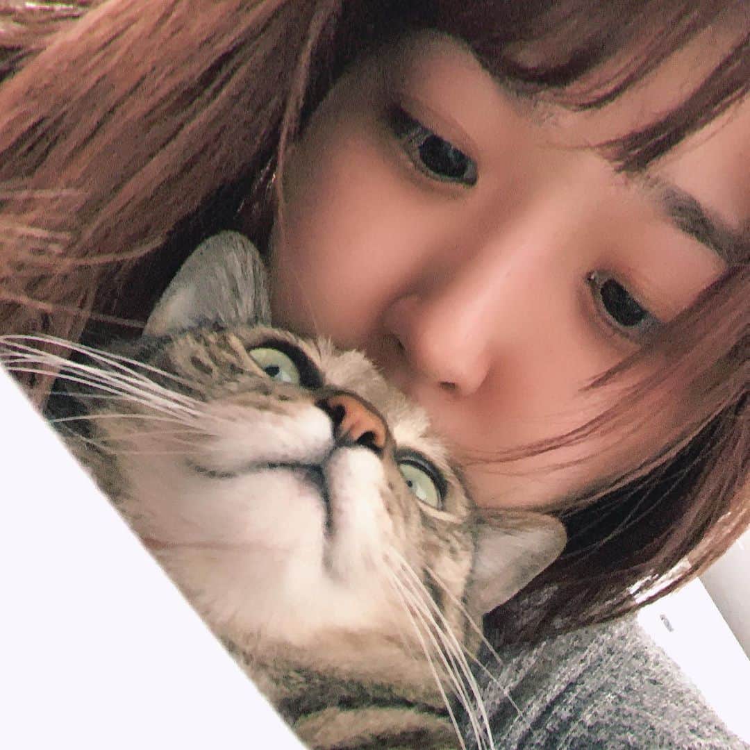 白井奈津さんのインスタグラム写真 - (白井奈津Instagram)「毎日可愛いという感情をくれるってどれだけ素晴らしい生き物なの🐈💕🤷‍♀️ . #猫　#えん　#塩　#雄 #にゃんすたぐらむ🐾  #猫のいる暮らし #最高」5月25日 21時02分 - shirai_natsu
