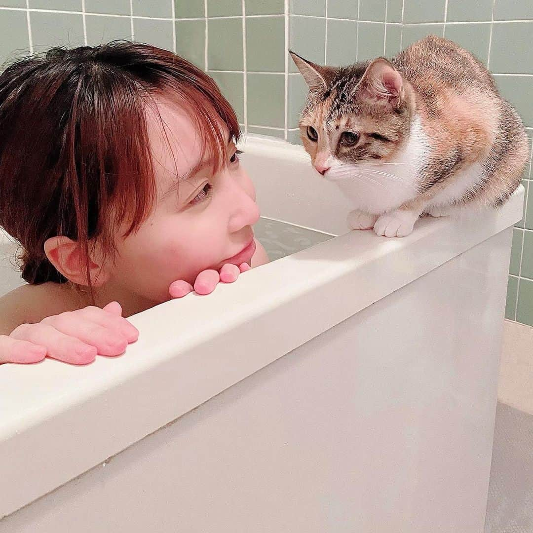 長久梨那さんのインスタグラム写真 - (長久梨那Instagram)「． バスタイム🛁 いつでも一緒🐱💓 #猫 #ねこ #ネコ #三毛猫 #保護猫 #ねこすたぐらむ #にゃんすたぐらむ #お風呂 #バスタイム #裸の付き合い #グラビア #インスタグラビア #女優 #役者 #俳優 #舞台 #舞台女優 #アナウンサー #フリーアナウンサー #女子アナ #リポーター #フォローミー #japan #girl #cat #catsofinstagram #bathroom #bathtime #gravure #followme」5月25日 21時15分 - rinanagahisa