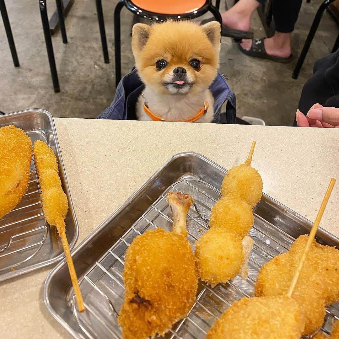 Mika Jimboのグルメインスタ