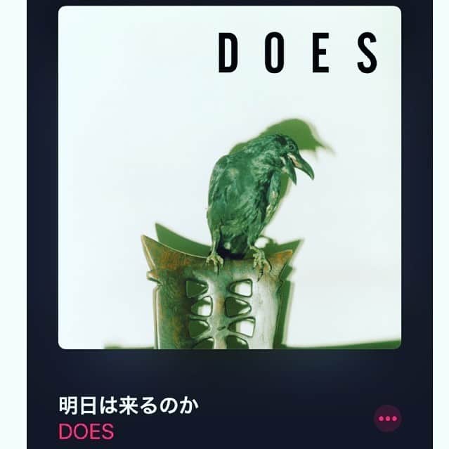 庄村聡泰のインスタグラム：「#does さんで一番好きなのは、この曲。この太々しさと何か諦めてる感じ。#ニヒリズム ？はたまた#ペシミズム ？詮索はともかくとして、カッコいい。  #なうぷれ #does #明日は来るのか」