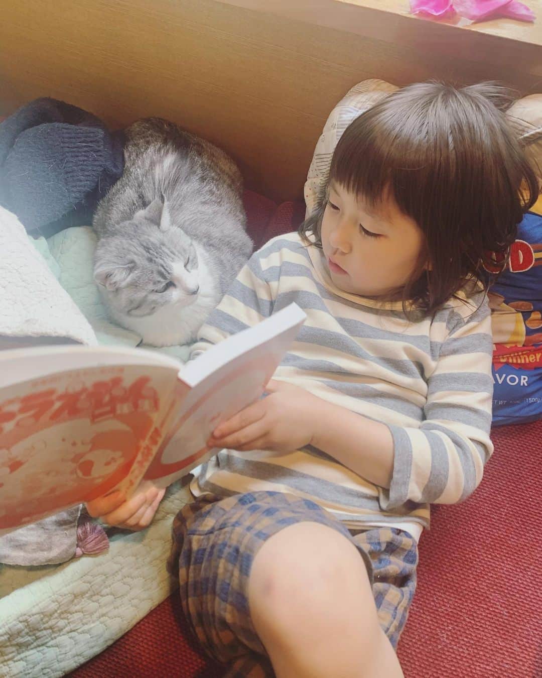 のインスタグラム：「記念すべき漫画デビューはやはり、ドラえもん。 #サバ美となまこちゃん  #今日のなまこちゃん  #サバ美 #4歳9ヶ月」