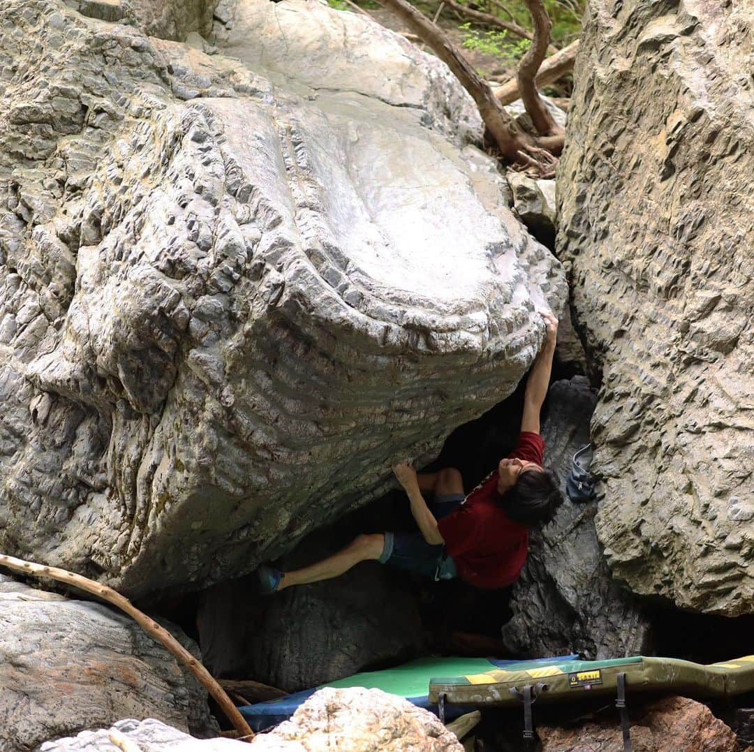 濱田健介のインスタグラム：「I enjoyed outdoor climbing today. So fun! 今日は久しぶりに岩。 前にたまたま見つけた所へ。昔に登られてたっぽいけど、情報がないからわからん。 適当にライン見つけて登ったけど、久々の岩はやはり楽しかった。 1枚目の写真のやつはたぶん初登かな。2段くらい？？小さいなりに面白かった。まあ、やる人おらんと思うけど。 とりあえず、少しずつクライミングも再開するかな。 @rockmasterhq  @unparallelup  @organicclimbing  @nogradjustfeeling  @camp1889」