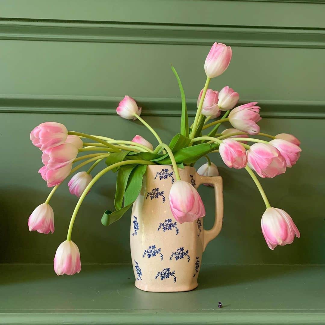 オードリー・ゲルマンのインスタグラム：「flowers」