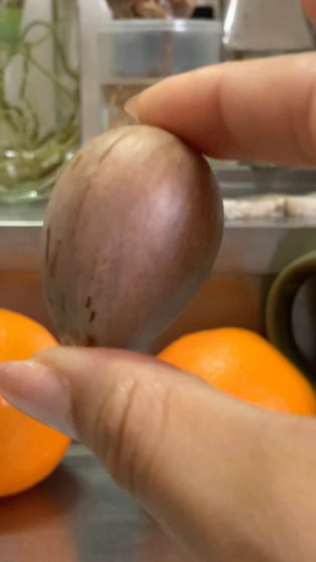 ティファニー・キャデラックのインスタグラム：「I’m sure there’s other ways but I’ve been asked multiple times on how I grew my little avocado tree so here is a visual explanation of my method🌱 It’s super simple, easy and effective, very therapeutic, for me at least...and the satisfaction you feel when it actually sprout is something else✨ If you ever try it please make sure you take a pic and tag me okay😉  The simple things are your blessings 🥑💚」